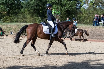 Bild 31 - Pony Akademie Turnier